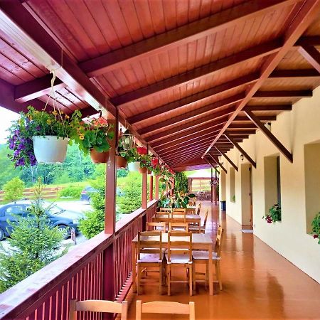 Pensiunea Castania - Pensiune Cu Piscina La Munte Polovragi Buitenkant foto
