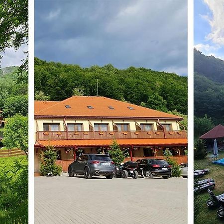 Pensiunea Castania - Pensiune Cu Piscina La Munte Polovragi Buitenkant foto