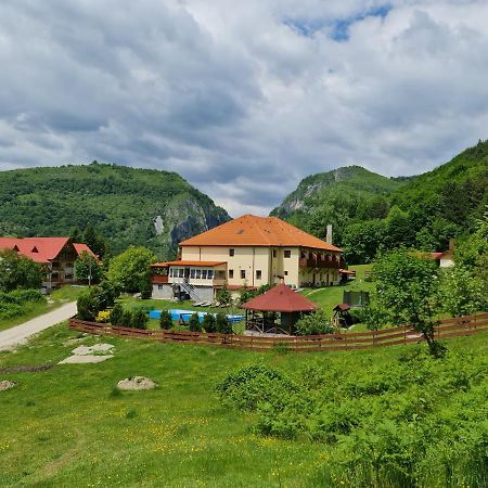 Pensiunea Castania - Pensiune Cu Piscina La Munte Polovragi Buitenkant foto