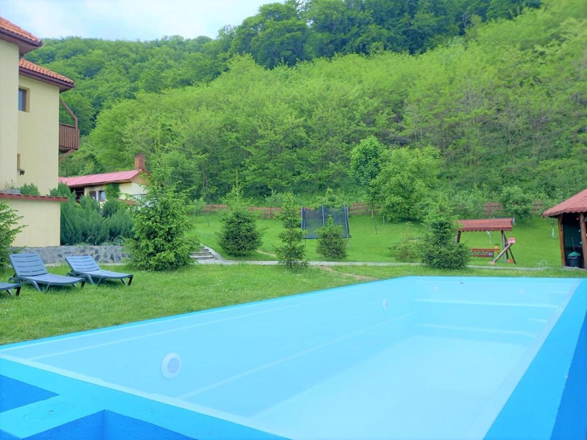Pensiunea Castania - Pensiune Cu Piscina La Munte Polovragi Buitenkant foto