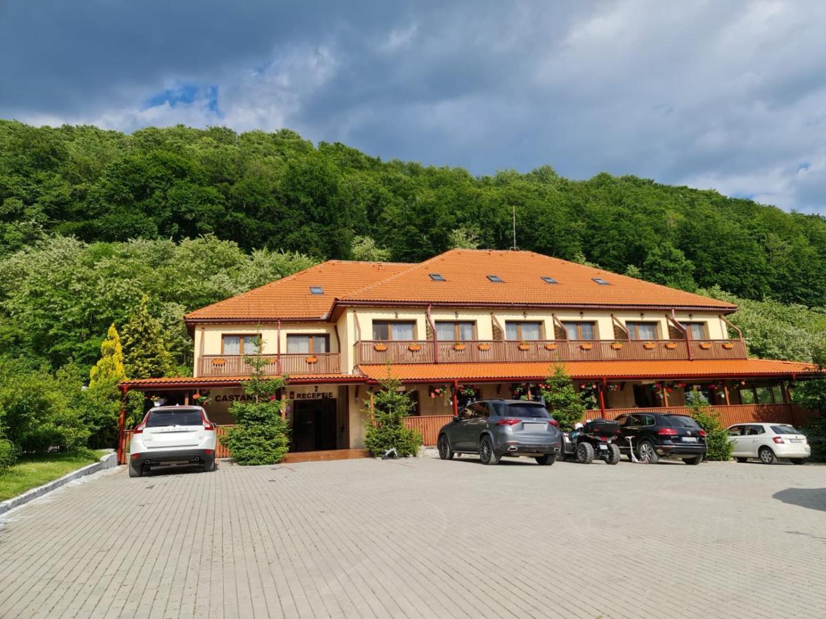 Pensiunea Castania - Pensiune Cu Piscina La Munte Polovragi Buitenkant foto