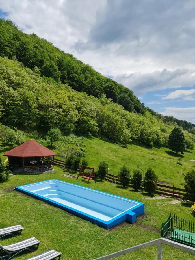 Pensiunea Castania - Pensiune Cu Piscina La Munte Polovragi Buitenkant foto