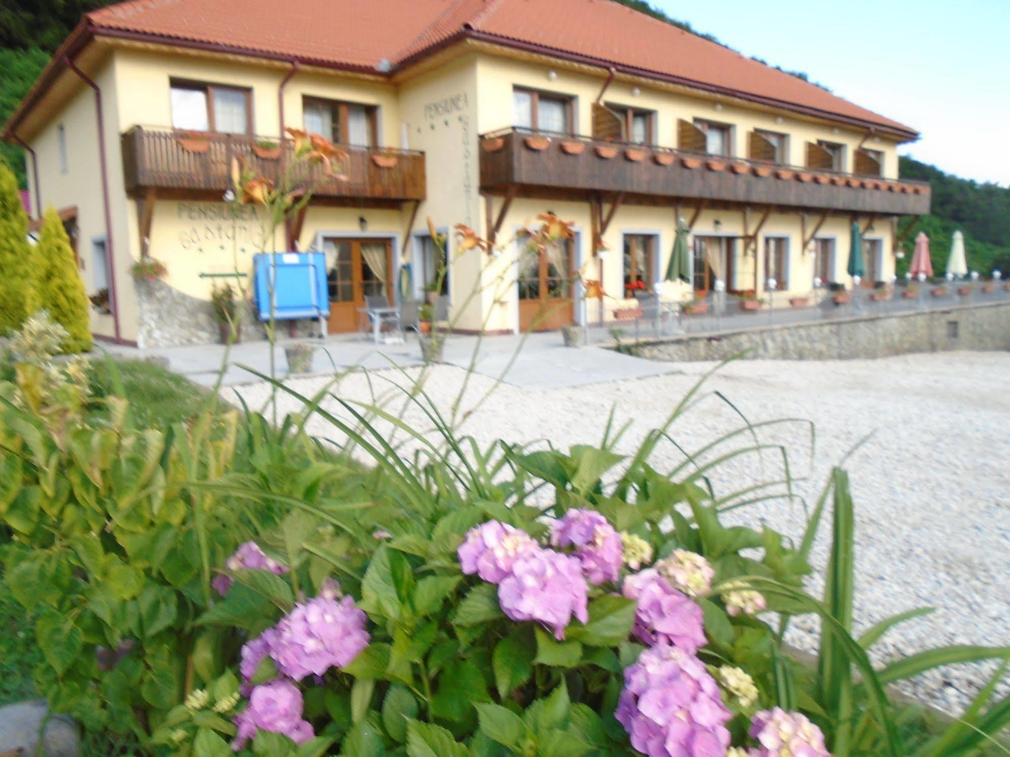 Pensiunea Castania - Pensiune Cu Piscina La Munte Polovragi Buitenkant foto