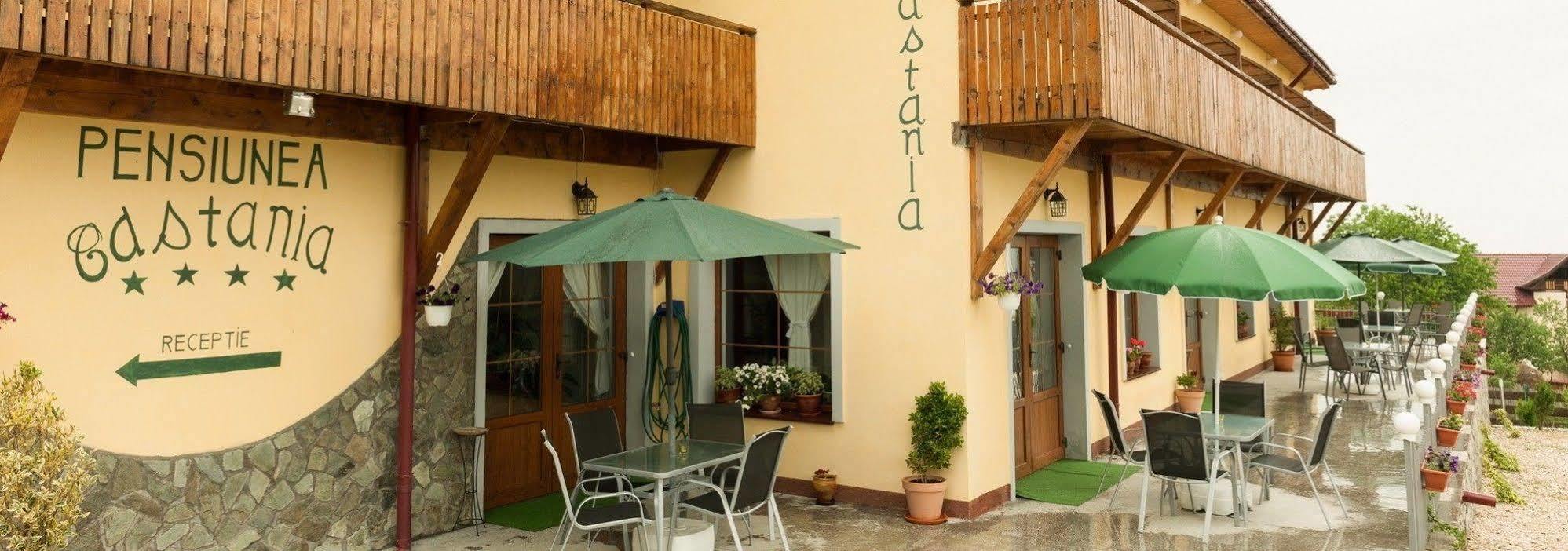 Pensiunea Castania - Pensiune Cu Piscina La Munte Polovragi Buitenkant foto
